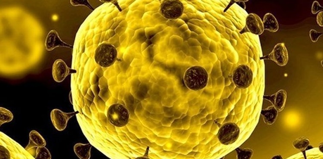 Sanggah Klaim AS, Kemlu China: WHO Buktikan Virus Corona Tidak Diciptakan Di Laboratorium