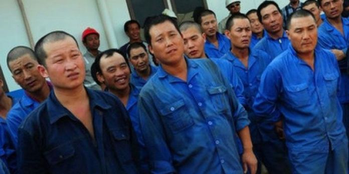 Pengamat: Jalan Mulus TKA China Bisa, Hati Rakyat Indonesia Bisa Terluka