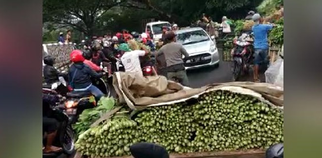 Kementan Luruskan Aksi Pedagang Bagi-bagi Sayuran Di Malang