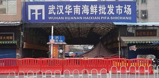 Pasar Wuhan Berperan  Dalam Penyebaran Virus Corona, WHO: Atau Bisa Jadi Hanya Kebetulan Kasus Terdeteksi Di Sana