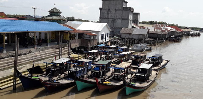 SNI Dukung Kebijakan Erick Thohir Wajibkan BUMN Perikanan Serap Ikan Hasil Tangkapan Nelayan