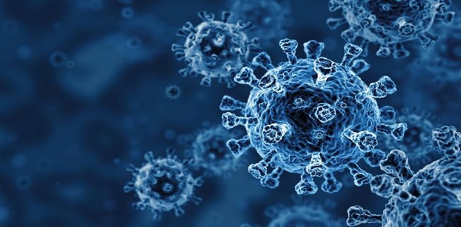 Ada Tiga Tipe Virus Corona Di Dunia, Menristek: Jenis Covid-19 di Indonesia Adalah Tipe Yang Belum Dikenali