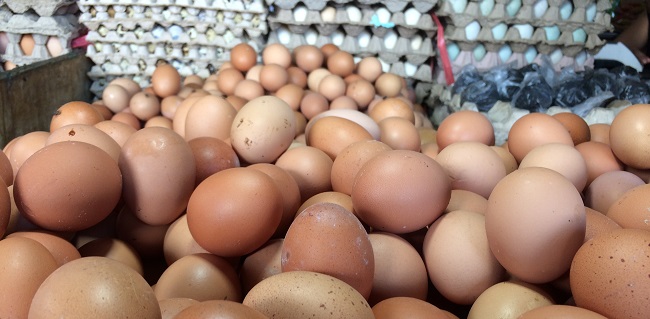 Penyaluran Bantuan Di Majalengka Tak Matang, Lebih Dari 1 Ton Telur Ayam Membusuk