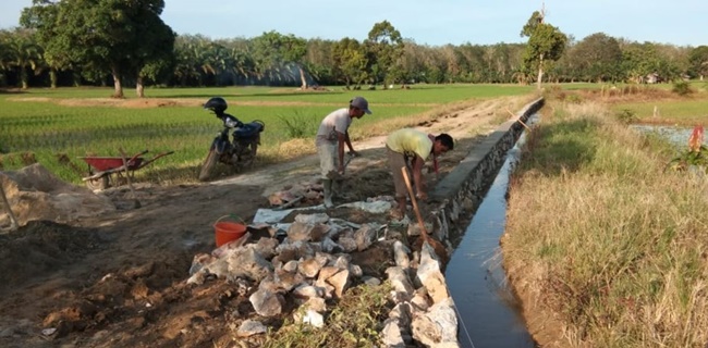 Kementan: Rehabilitasi Jaringan Irigasi Tersier Di Dharmasraya Capai 500 Hektare
