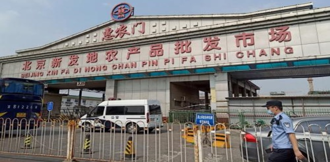 Jadi Tersangka Baru Penyebar Virus Corona, China Ingatkan Penduduknya Tidak Makan Ikan Salmon Sementara Waktu