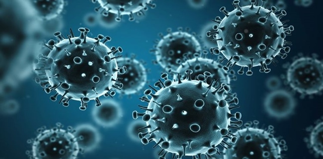 Virus Swine Influenza Atau Flu Babi Terdeteksi Pada Hewan Ternak Di Malaysia