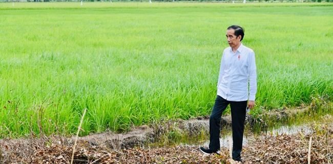 Didampingi Prabowo, Presiden Jokowi Tinjau Reklamasi Pulau Pisau