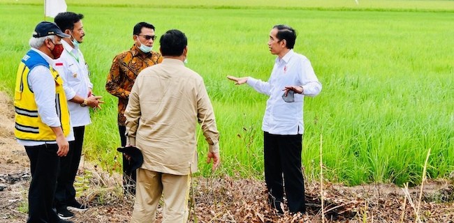 Saiful Anam: Jokowi Tunjuk Prabowo Jadi <i>Leading Sector Food Estate</i> Itu Pelecehan Bagi Mentan