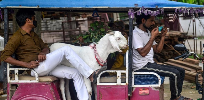 Kisah Sedih Para Penjual Hewan Kurban Di India, Tahun Ini Kondisi Penjualan Benar-benar Sulit
