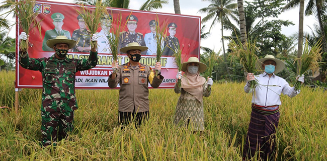Panen Di tengah Pandemik Covid-19, Desa Kembang Kuning Wujud Nyata Kampung Tangguh Nusantara
