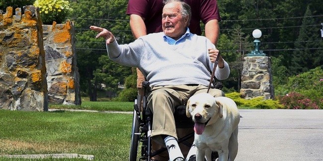 Kisah Tentang Sully, Anjing Kesayangan Almarhum Bush Sr Yang Ultah Ke-4 Hari Ini