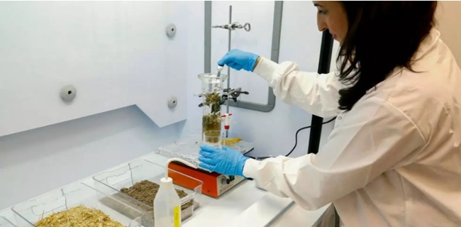 Inovasi Ilmuwan Israel  Berhasil Ubah Limbah Jadi bahan Utama Sanitizer