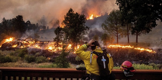 Dalam Sepekan, Api Hanguskan Satu Juta Hektar Lahan Di California