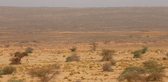 Lebih Dari Sahara, Prancis Dilanda Musim Paling Kering Terparah Sejak 60 Tahun Terakhir