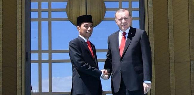 Ditelepon Erdogan, Jokowi Sambut Baik Kemungkinan Kerja Sama Tangani Corona
