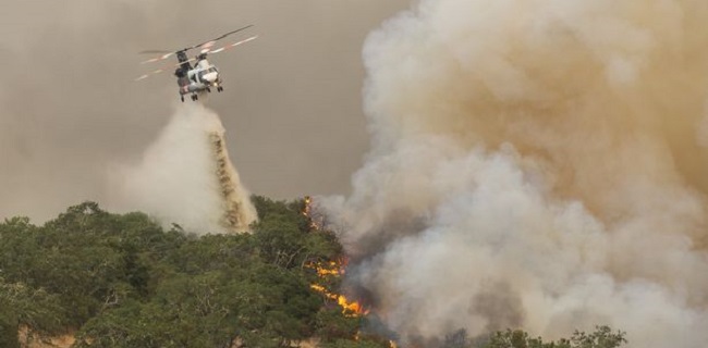 Helikopter Pemadam Kebakaran California Jatuh, Sang Pilot Meregang Nyawa