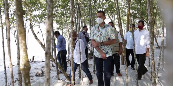 Kaya Akan Manfaat, Wagub Sumut Ajak Masyarakat Lestarikan Hutan Mangrove