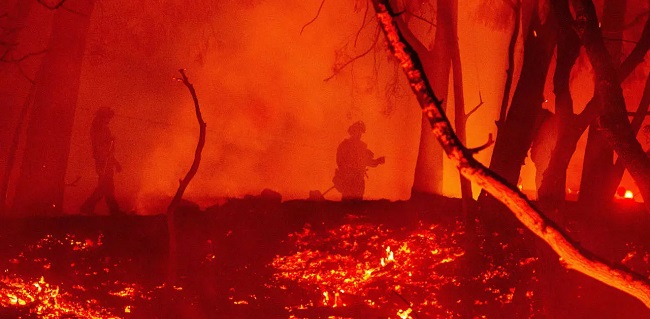 Kebakaran Hutan California Capai 1,6 Juta Hektar, 8.454 Bangunan Hangus