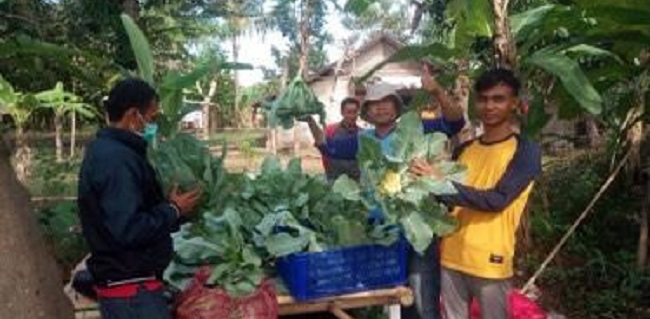 Teman Sejati, Taiwan Berbagi Teknik Bertani Dengan Petani Indonesia Selama 44 Tahun