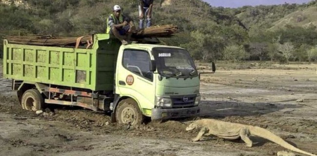 Siang Ini, Kementerian LHK Akan Digeruduk Massa Tolak Kapitalisasi Taman Nasional Komodo