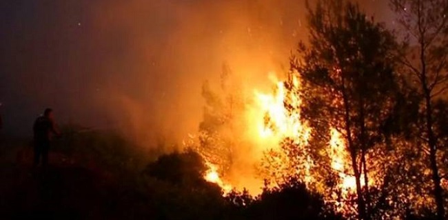 Serangan Azerbaijan Buat 1.815 Hektar Hutan Di Nagorno-Karabakh Dilalap Api