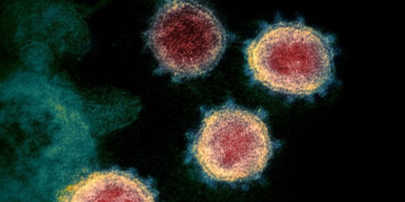 Varian Baru Virus Corona Akhirnya Muncul Di Prancis, Satu Kasus Ditemukan Dari Orang Yang Baru Kembali Dari London