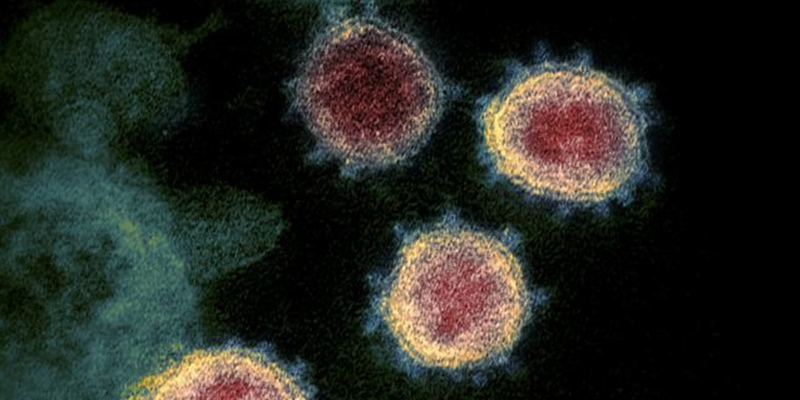 Italia Rawat Satu Pasien Terinfeksi Virus Corona Jenis Baru Inggris