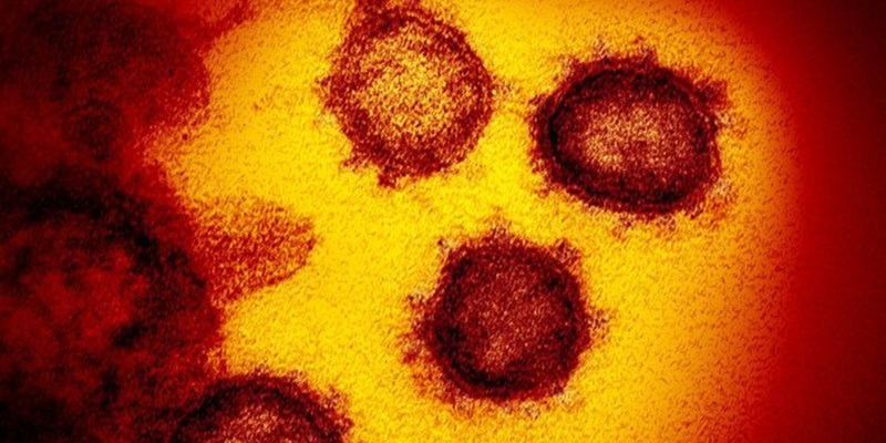 Ahli: Temuan Varian Baru Virus Corona Ancam Keberhasilan Perjuangan Penanganan Pandemi