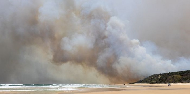 Api Terus Berkobar, Warga Di Pulau Fraser Australia Diminta Mengungsi