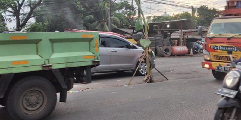 Pohon Pisang Di Jalan Rusak, Walikota Serang: Itu Kewenangan Pemerintah Pusat
