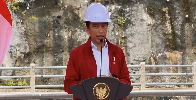 Jokowi Minta Gubernur Dan Bupati/Wali Kota Se-Kalsel Rehabilitasi Lahan Untuk Antisipasi Banjir