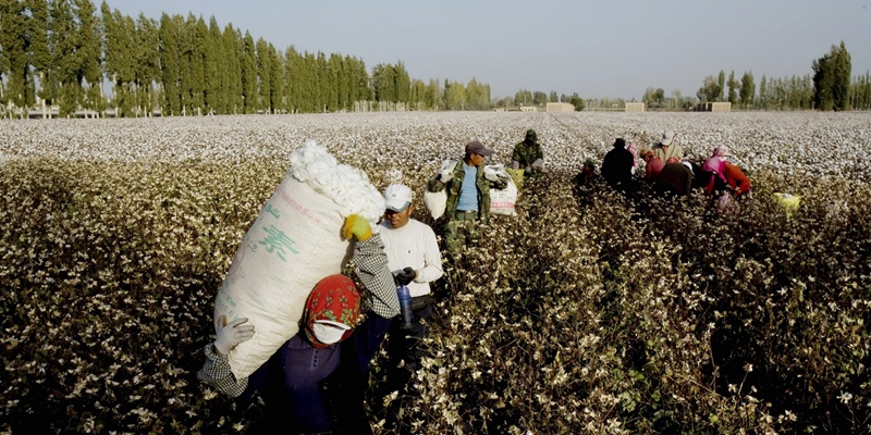 DPR AS Perkenalkan Undang-undang Baru Berisi Larangan Impor Dari Xinjiang China