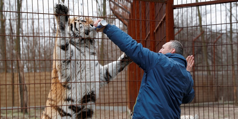 Pandemi Mengguncang Impian Hidupnya Pemilik Kebun Binatang Hongaria Terpaksa Jual Hewan Peliharaan