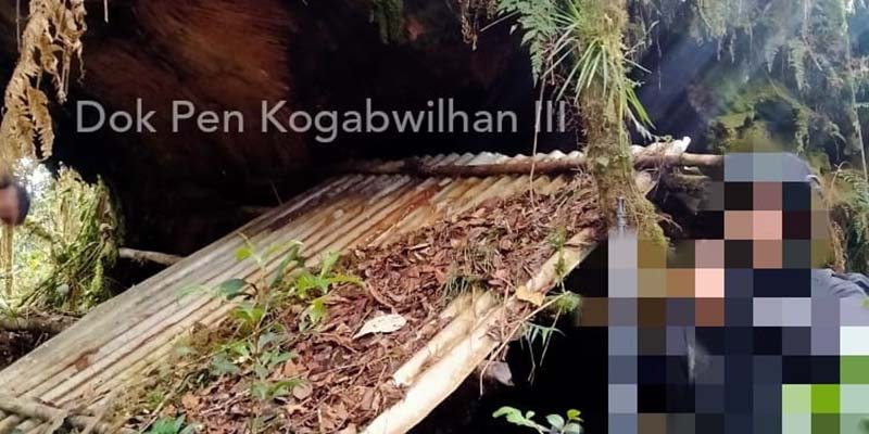 Mirip Teroris MIT Di Poso, KSB Papua Sembunyi Di Gua Dan Pakai Pos Pantau Rumah Pohon