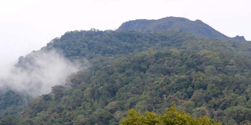 Agrowiratama Bantah Tudingan Pakai Tanah Ulayat Muara Kiawai Dan Menanam Di Hutan Lindung