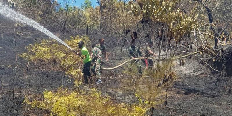 107 Hektare Hutan Dan Lahan Di Aceh Terbakar Sepanjang Februari 2021, Kerugian Capai Rp 14,9 Miliar