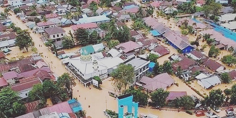 Sawit, Benarkah Penyebab Banjir Kalsel?
