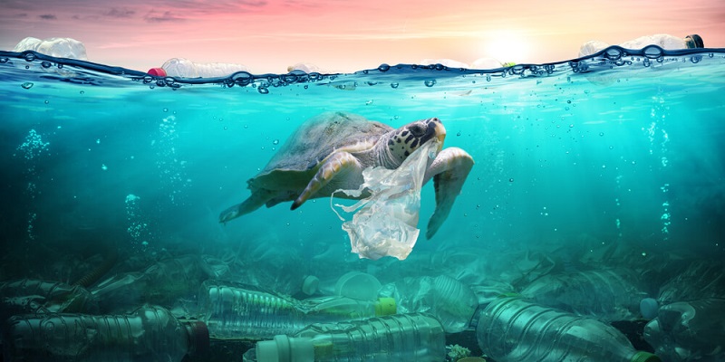 Cari Solusi Inovatif Sampah Plastik Di Laut, UNDP Gelar Kompetisi EPPIC