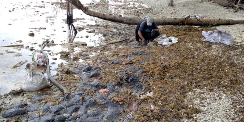 Tumpahan Minyak Kembali Mencemari, KNPI Kepulauan Seribu Desak Aparat Bertindak Lebih Tegas