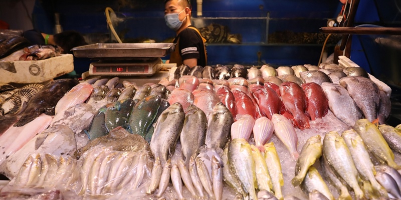 Mata China Tertuju Ke Jepang, Khawatir Pembuangan Limbah Nuklir Fukushima Merusak Keamanan Makanan Laut