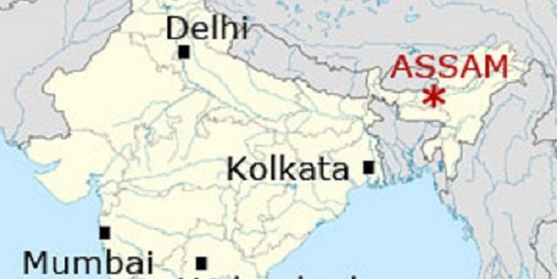 Gempa M 6,0 Guncang Assam India, Warga Berhamburan Keluar Rumah