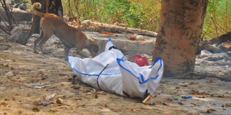 Jenazah Covid-19 India Digerogoti Anjing Liar Saat Antrian Panjang Untuk Kremasi, Aparat Akan Pagari Lokasi