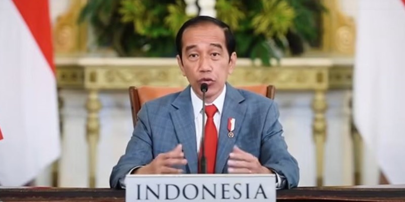 Partai Hijau: Jokowi Tak Punya Komitmen Atasi Krisis Iklim
