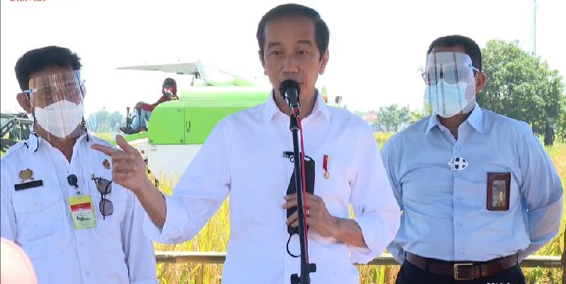 Jokowi Pastikan Impor Besar Dihentikan Hingga Juni, Tapi Bagaimana Juli Sampai Akhir Tahun?