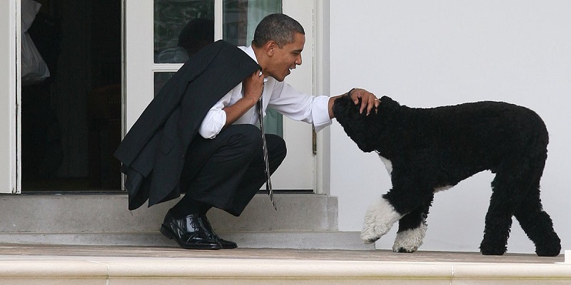 Sang Anjing Mati Kena Kanker, Obama: Kami Kehilangan Teman Sejati