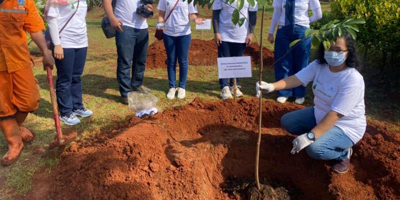 Hijaukan Jakarta, Jasa Raharja Tanam 300 Bibit Pohon Sirsak Di Jakarta Timur