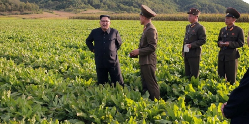 Sempat Dilanda Topan Dan Banjir, Korea Utara Hadapi Kekurangan Pasokan Makanan