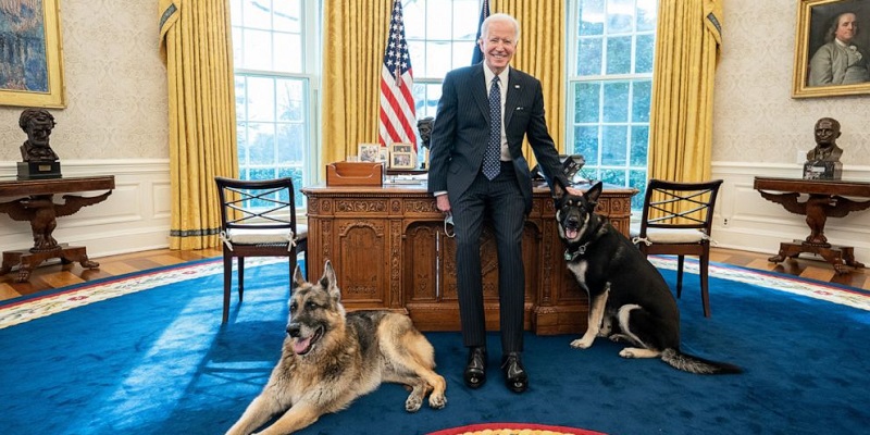 Gedung Putih Berduka, Joe Biden Umumkan Kematian Anjing Tertuanya