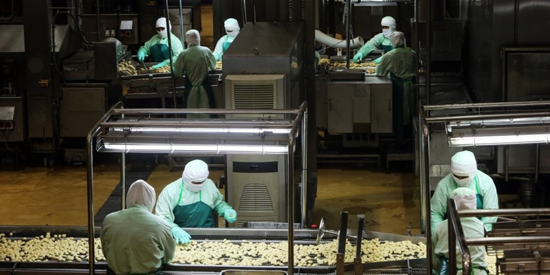 Ratusan Pekerja Terinfeksi, Satgas Covid-19 Thailand Selidiki Klaster Pabrik Pengolahan Daging Ayam