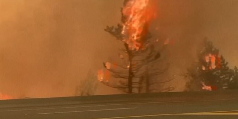 Kebakaran Hutan Kanada: Setengah Dari 174 Titik Api Ditemukan Hanya Dalam Dua Hari